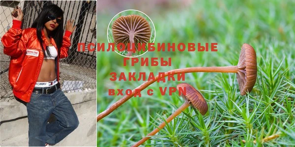 наркотики Абинск