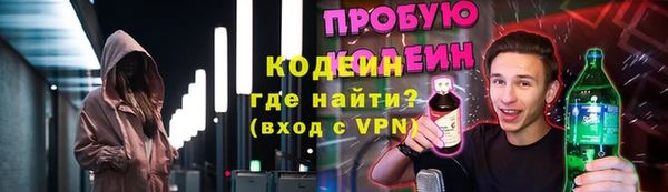 крисы Абаза