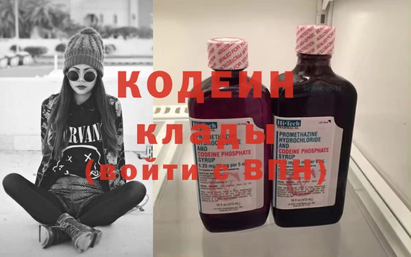 крисы Абаза