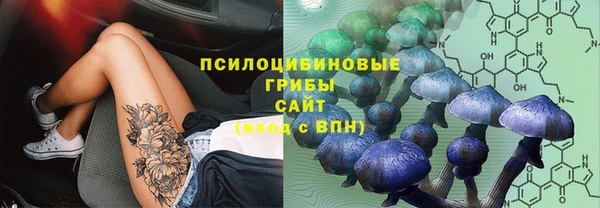 тгк Абдулино