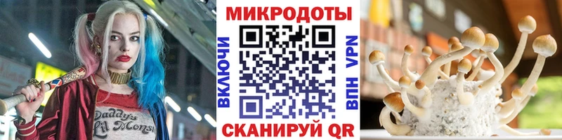 Галлюциногенные грибы Psilocybine cubensis  KRAKEN   Щучье 